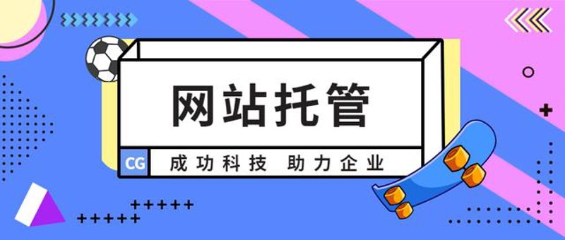 站群程序出售市场观察